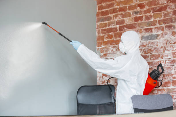 Best Post-Remediation Verification Testing  in Orange, OH